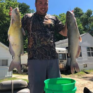 Meet your Posher, Dave